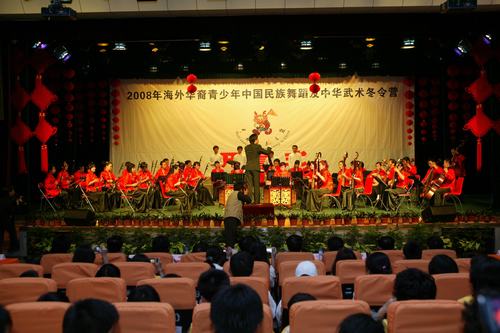 2008海外华裔青少年中国民族舞蹈及中华武术冬令营